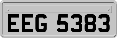 EEG5383
