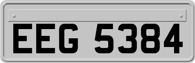 EEG5384