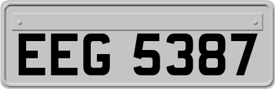 EEG5387