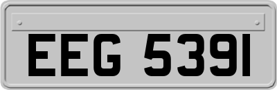 EEG5391