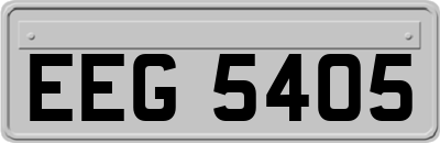 EEG5405