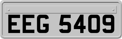 EEG5409