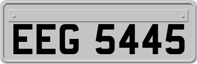 EEG5445