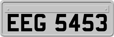 EEG5453