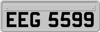 EEG5599