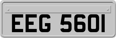 EEG5601