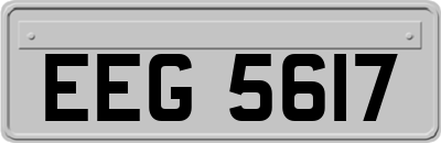 EEG5617