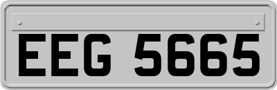 EEG5665