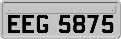 EEG5875