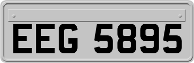 EEG5895