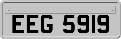 EEG5919