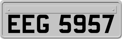 EEG5957