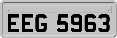 EEG5963