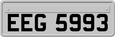 EEG5993