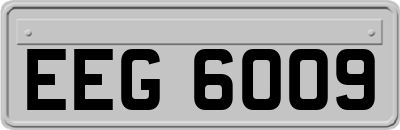 EEG6009