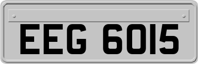 EEG6015