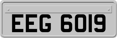 EEG6019