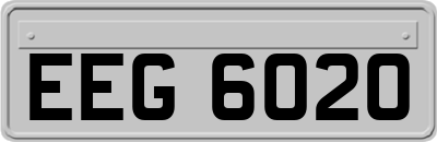 EEG6020