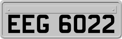 EEG6022