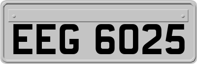 EEG6025