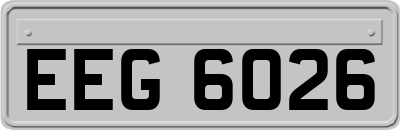 EEG6026