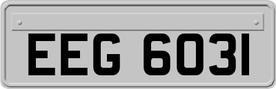 EEG6031