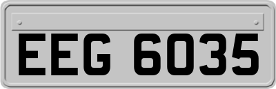 EEG6035
