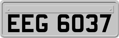EEG6037