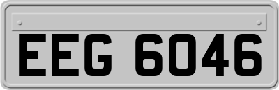 EEG6046