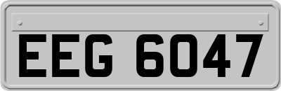 EEG6047