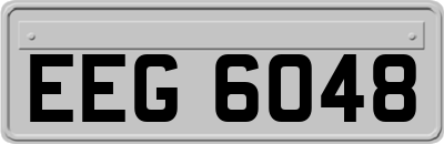 EEG6048