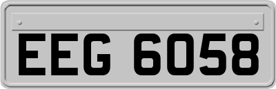 EEG6058