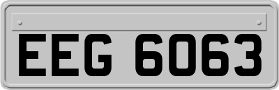 EEG6063