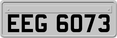 EEG6073
