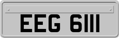 EEG6111