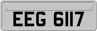 EEG6117