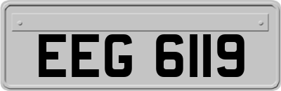 EEG6119