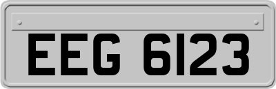 EEG6123
