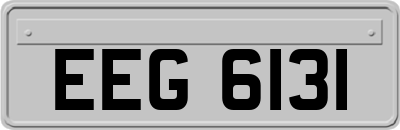 EEG6131