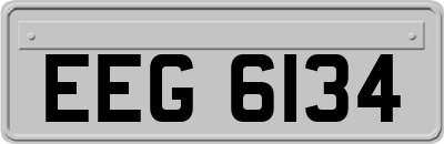 EEG6134