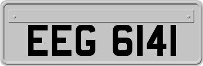 EEG6141