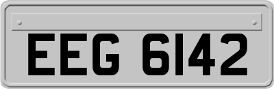 EEG6142