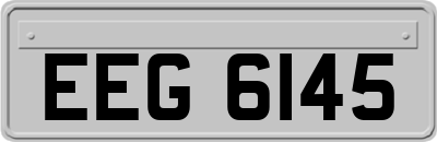 EEG6145