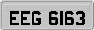 EEG6163