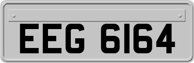 EEG6164