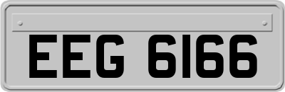EEG6166