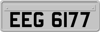 EEG6177