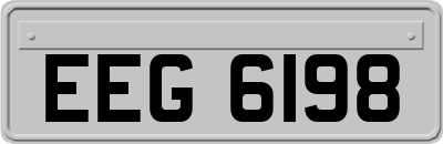 EEG6198