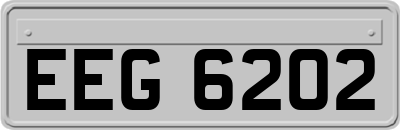 EEG6202