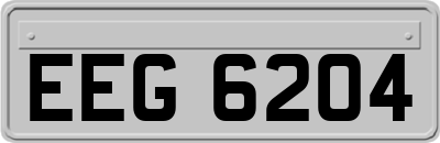 EEG6204